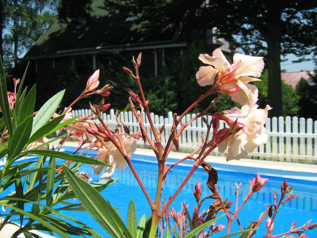 Guest House Westwood Kraljevec Kupinecki Rom bilde